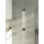 Vitra Bliss 2F Duş Başlığı - Görsel 4